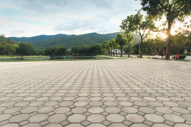 Best Local Driveway Pavers  in Westhaven Moonstone, CA